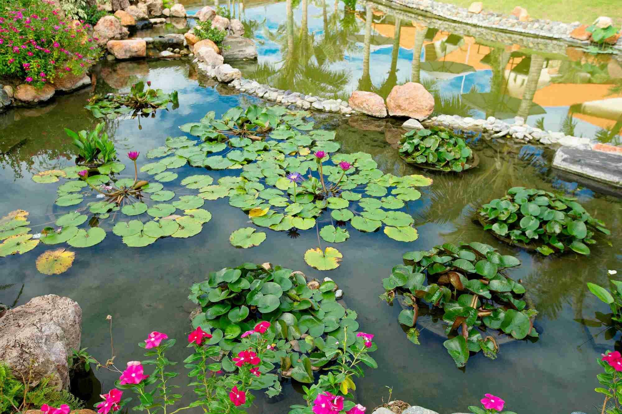 Blue Bay Mui Ne Resort & Spa Phan Thiết Zewnętrze zdjęcie